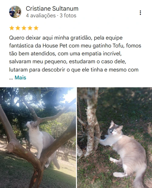 Avaliação 5 estrelas