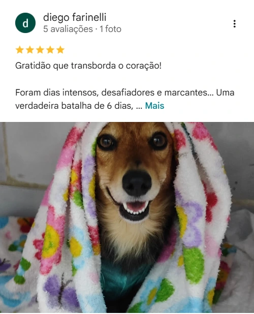 Avaliação 5 estrelas