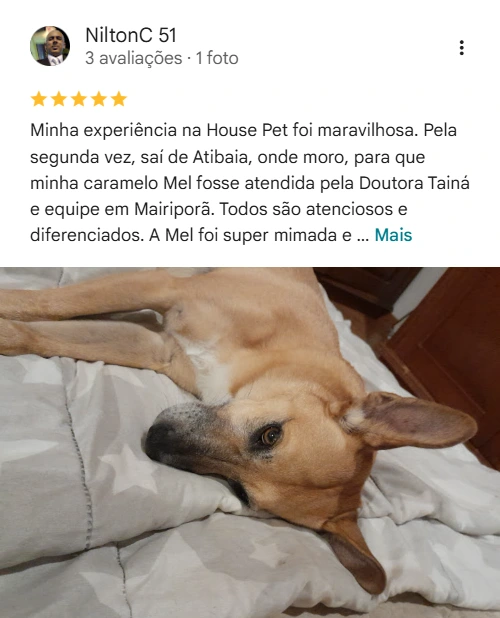 Avaliação 5 estrelas