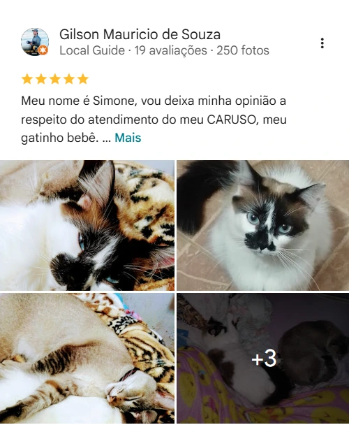 Avaliação 5 estrelas