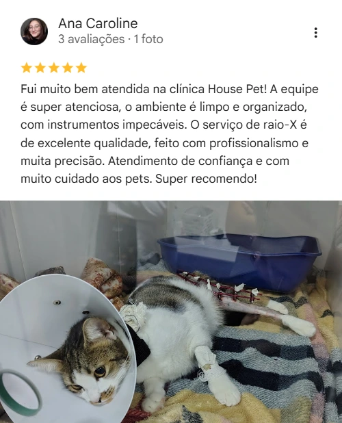 Avaliação 5 estrelas